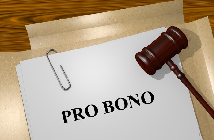 Pro Bono: Making a Difference through Volunteer Work